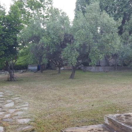 Blue Appartment Nea Iraklitsa Dış mekan fotoğraf